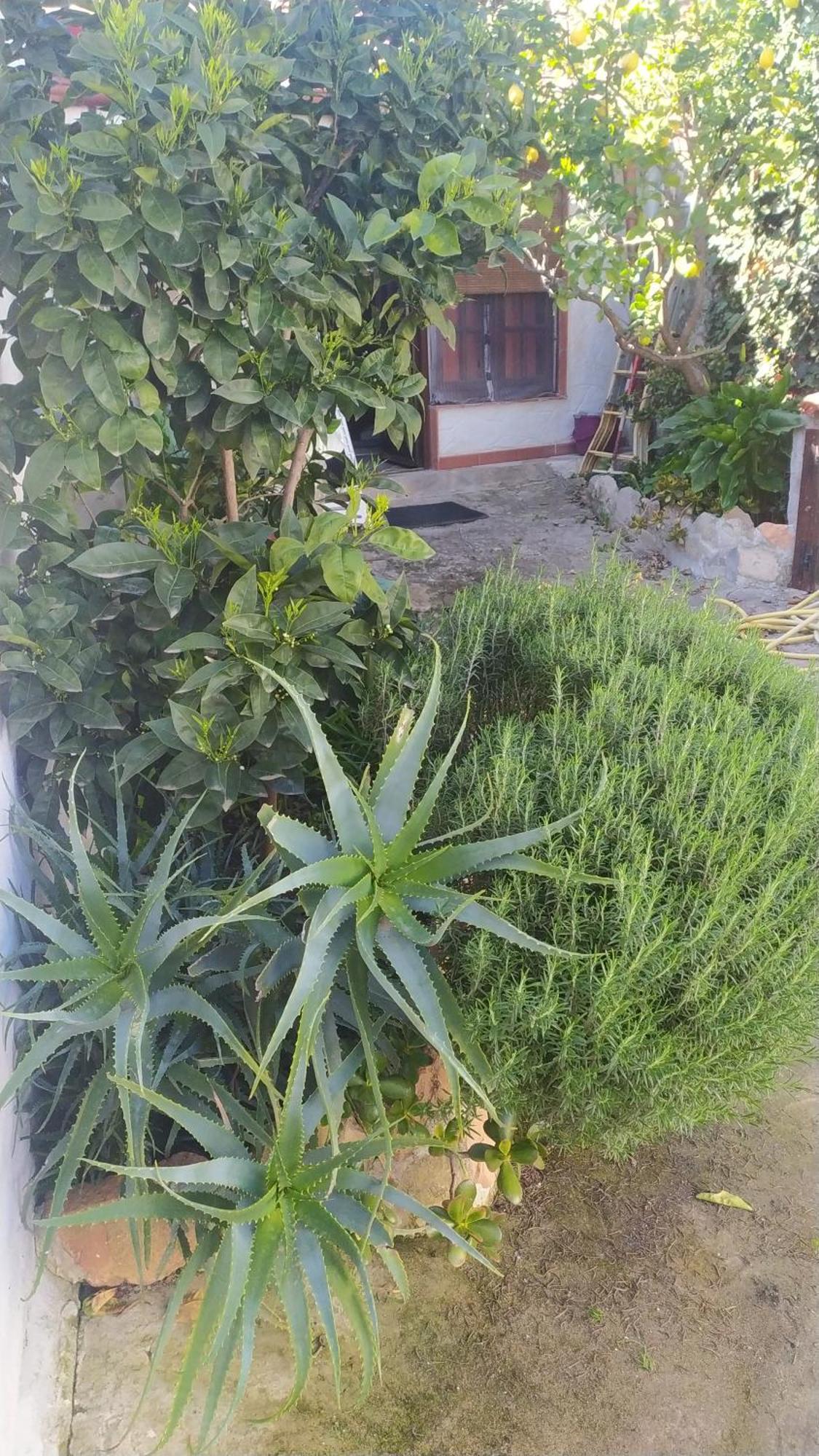 Antica Baita Gergei Luaran gambar